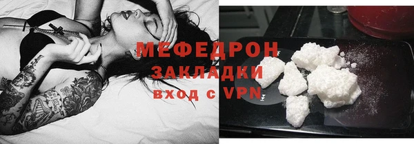 индика Аркадак
