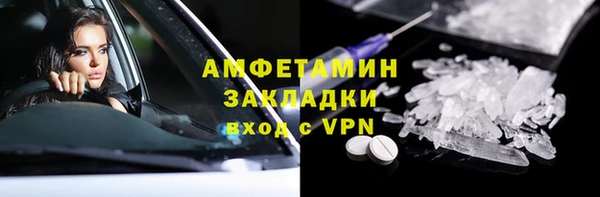 индика Аркадак
