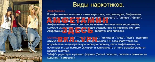 индика Аркадак